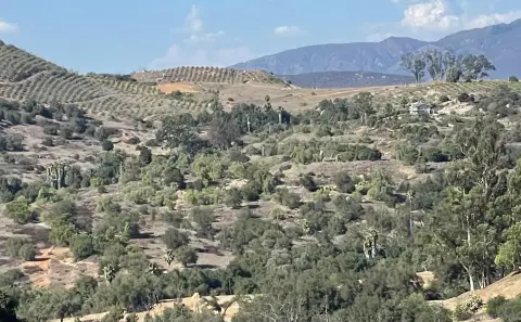 77.78 Acres in Valley Center