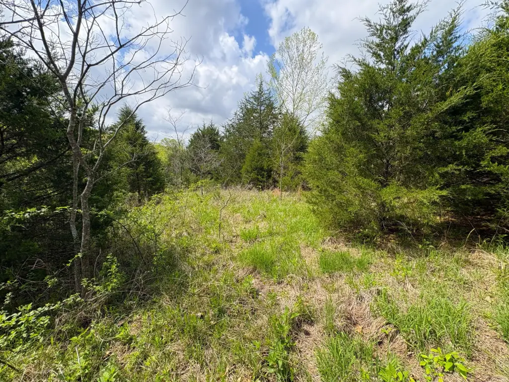 Picture 19