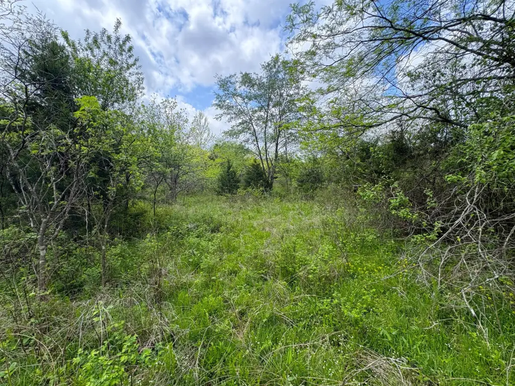 Picture 22