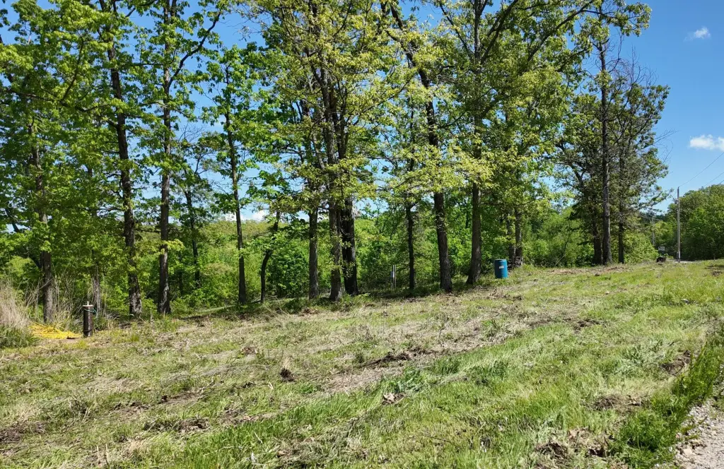 Picture 21