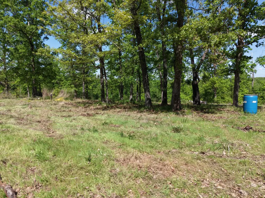 Picture 29