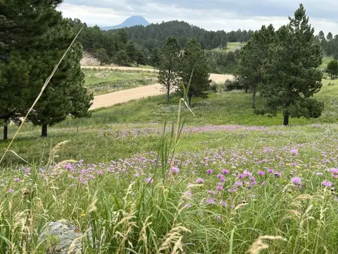 Residential Land with Mountain Views