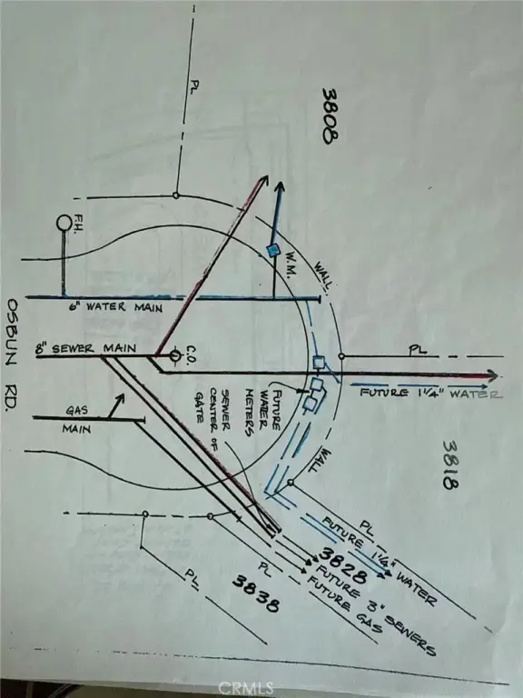 Picture 12