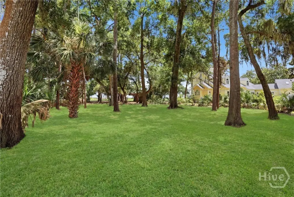 Picture 21