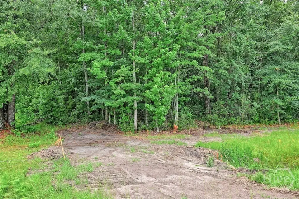 Picture 34