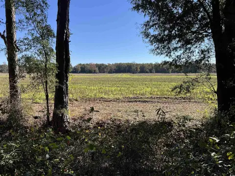 Secluded Homesite in Marion, SC