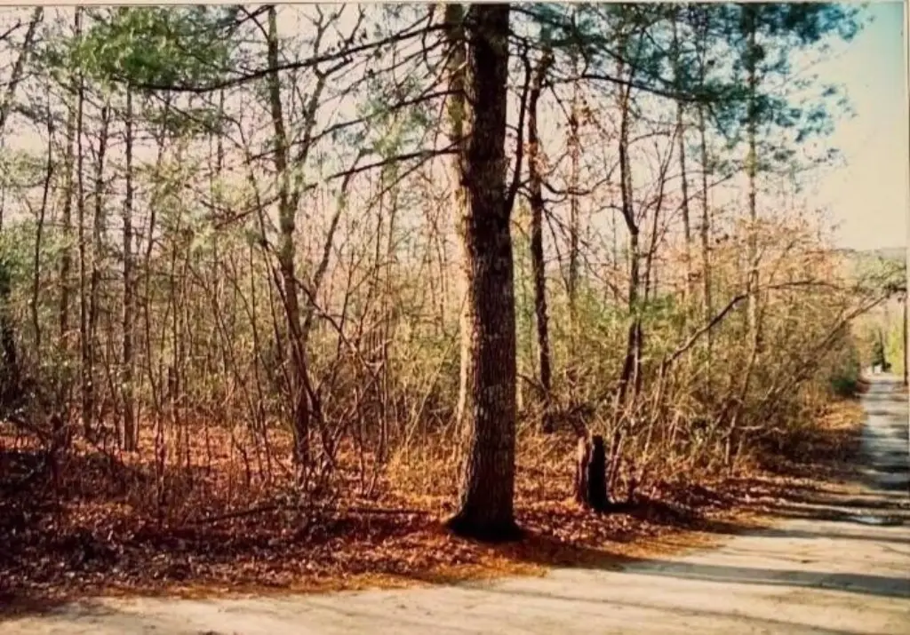 Picture 2