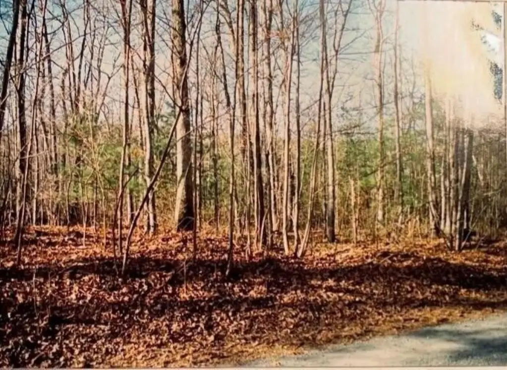 Picture 3