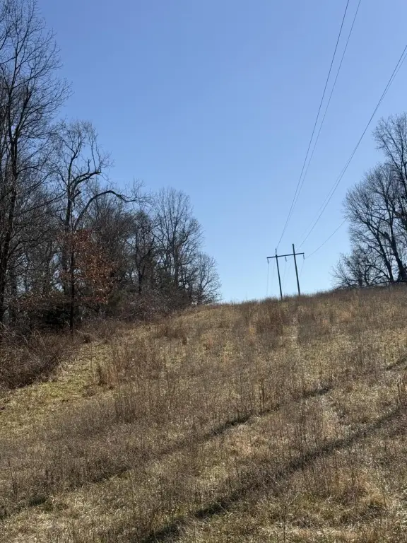 Picture 5
