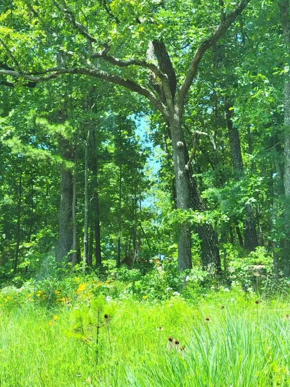 Picture 9