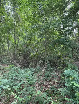 Rusk, TX Acreage Opportunity