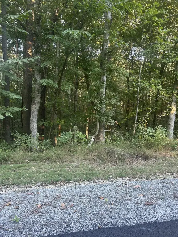 Picture 15