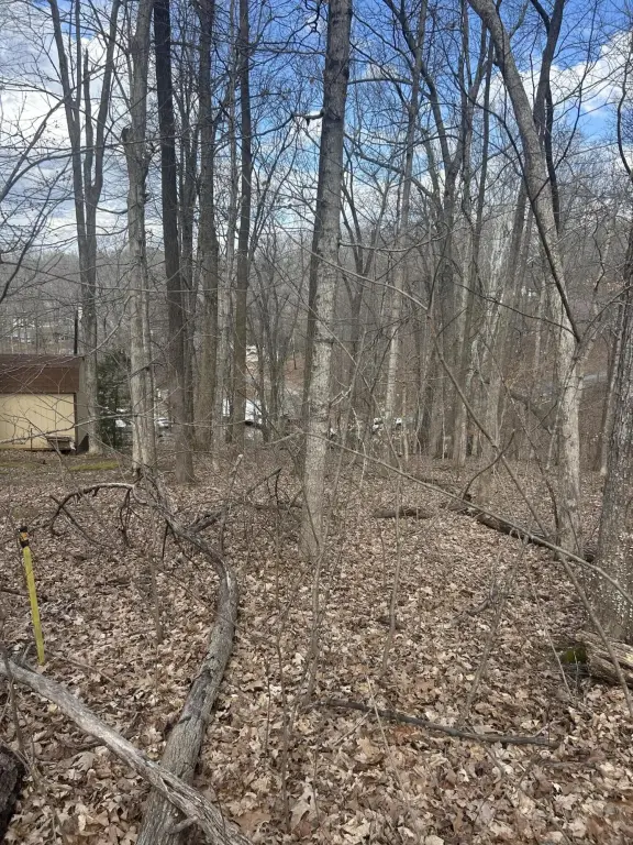 Picture 3