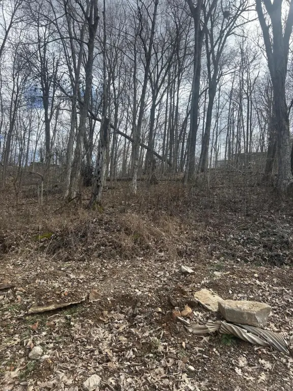 Picture 2