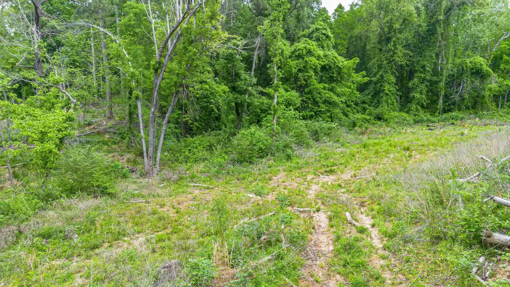 Picture 30