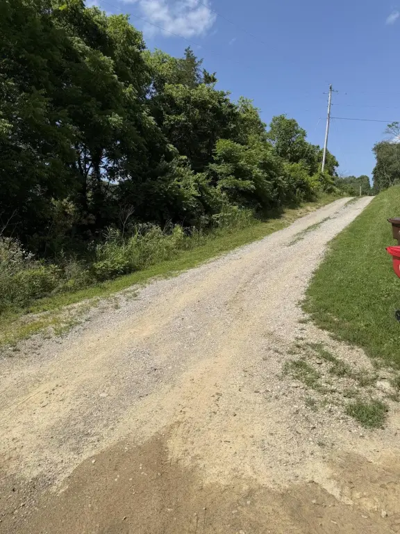 Picture 20