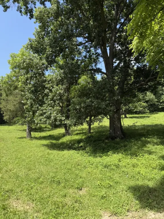 Picture 17