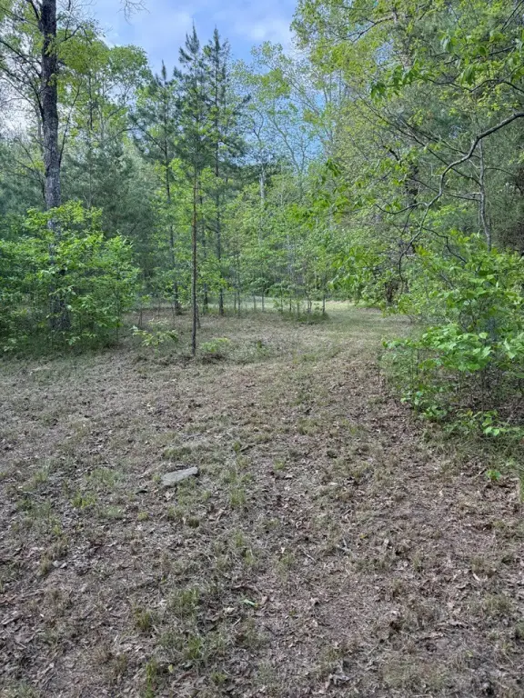 Picture 13
