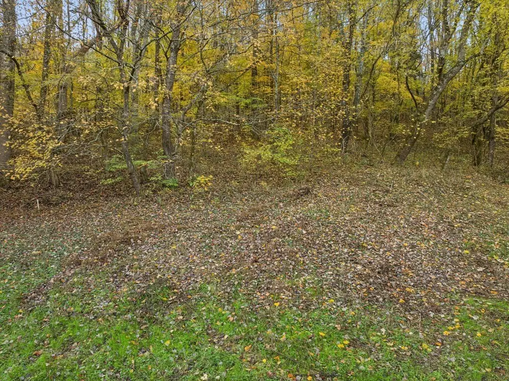 Picture 22