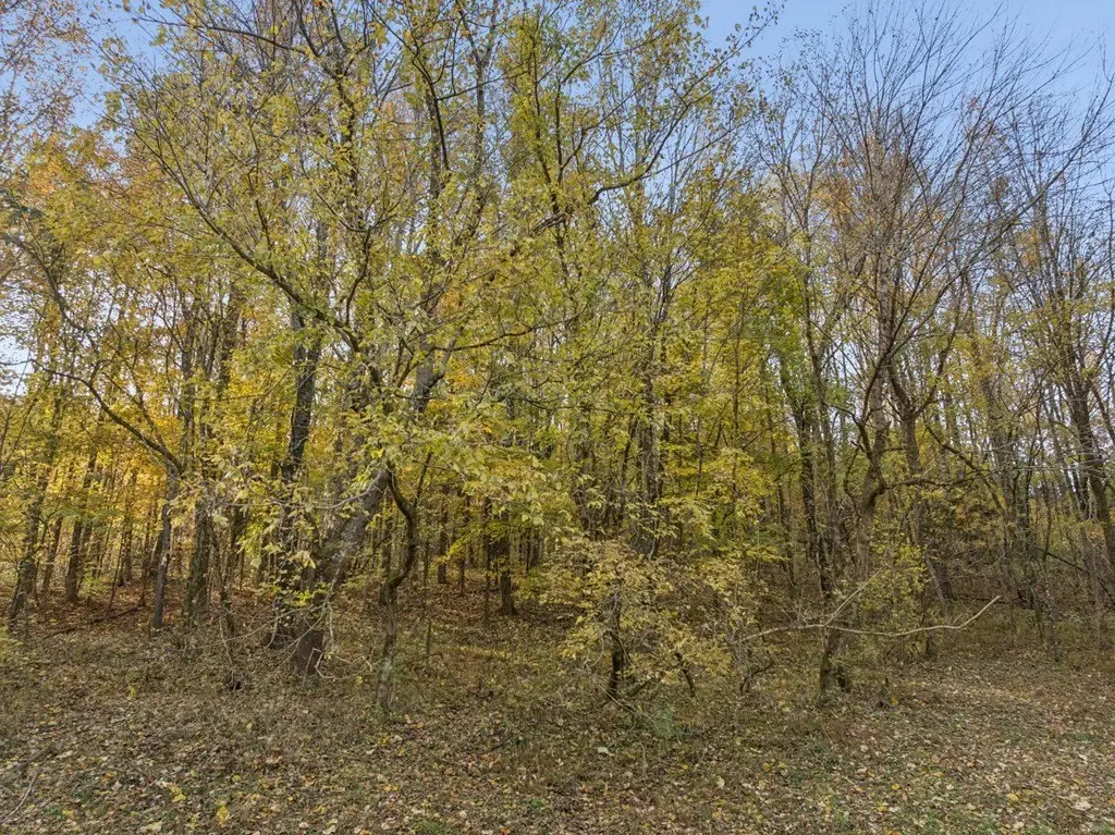 Picture 25
