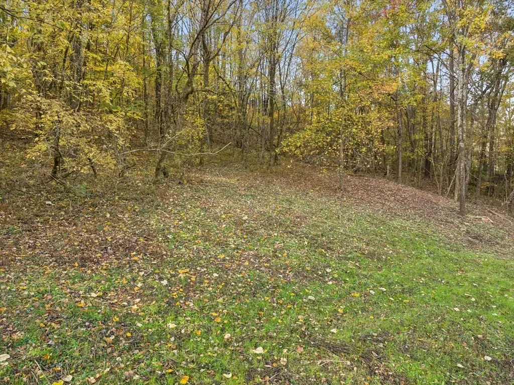 Picture 24