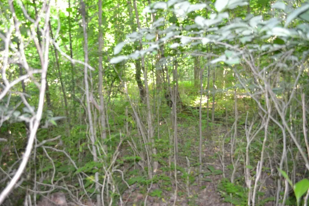 Picture 7