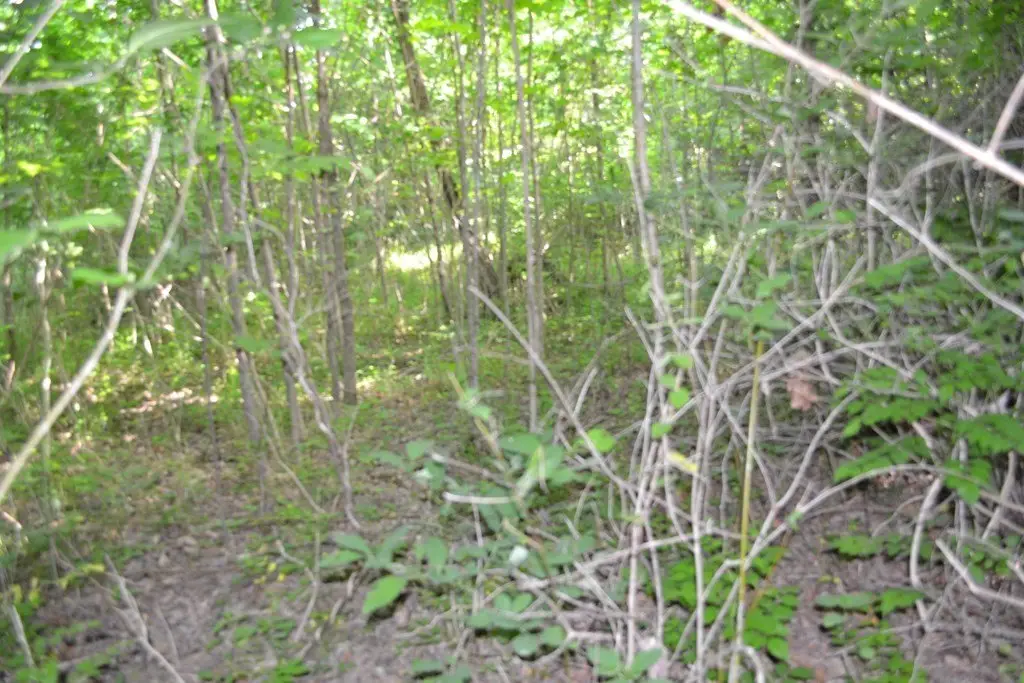 Picture 10