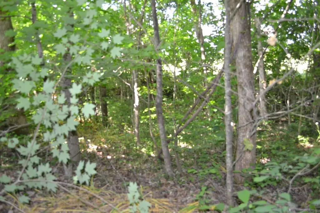 Picture 3