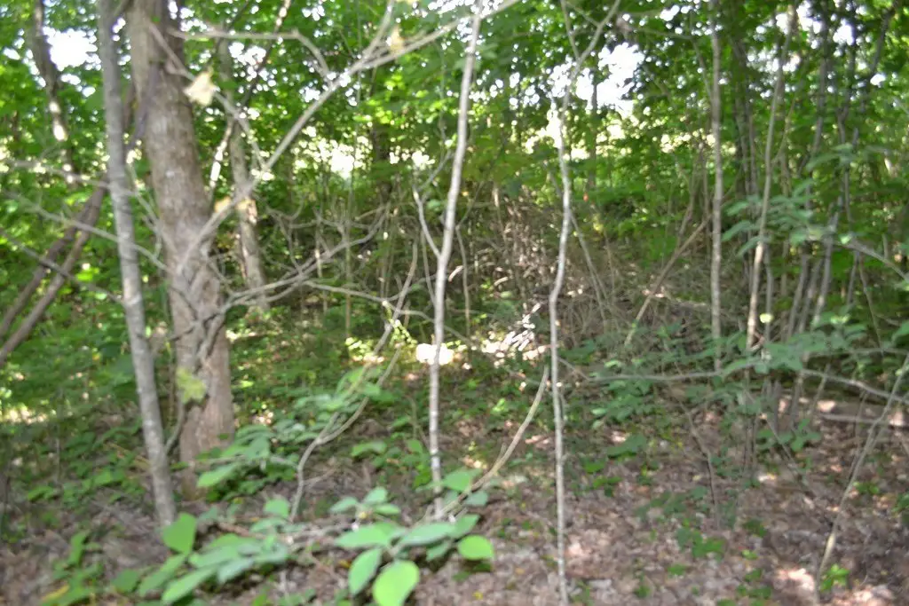 Picture 2