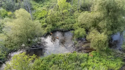 Pine River Frontage Land