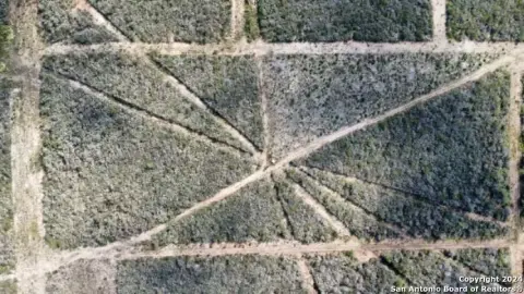 Ag-Exempt Land with Homesite