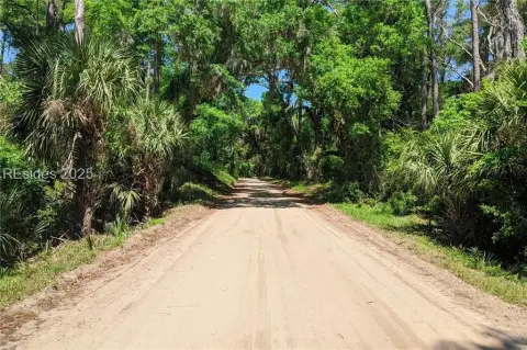 Daufuskie Island Wooded Lot
