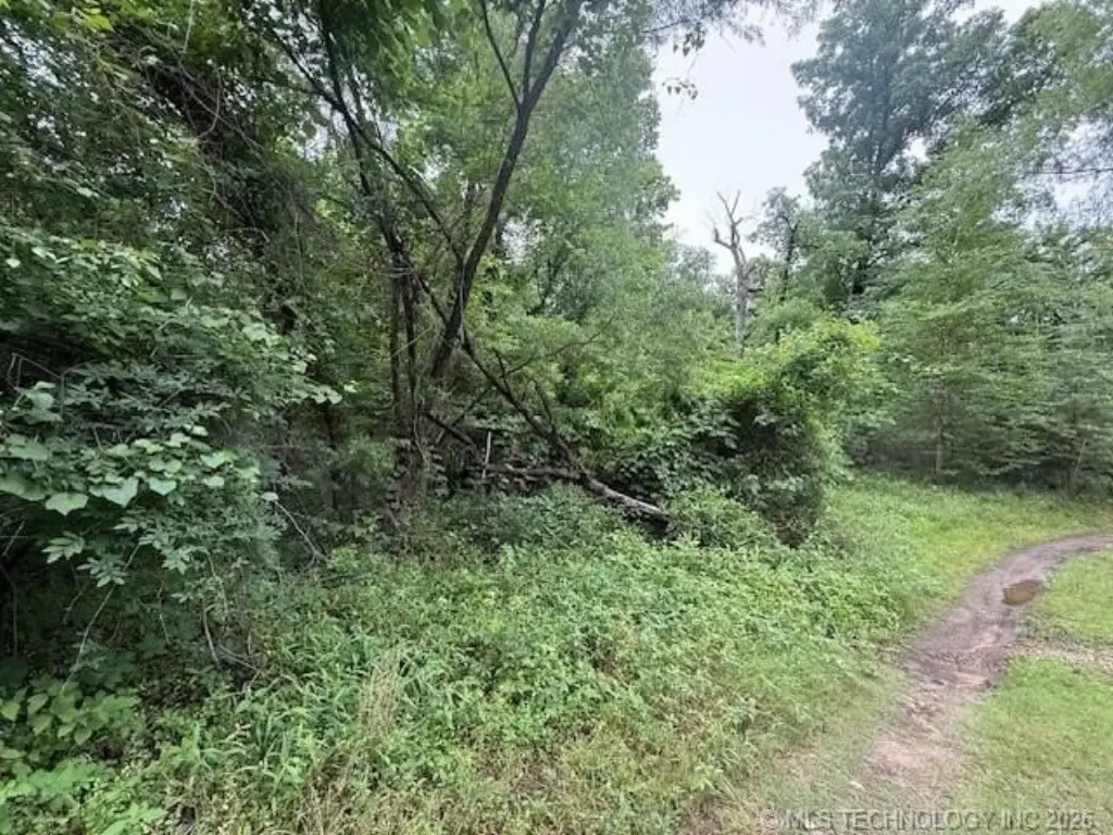 Picture 4