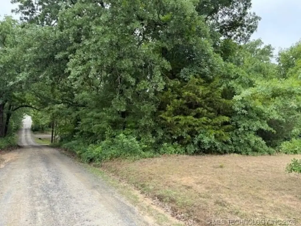 Picture 10