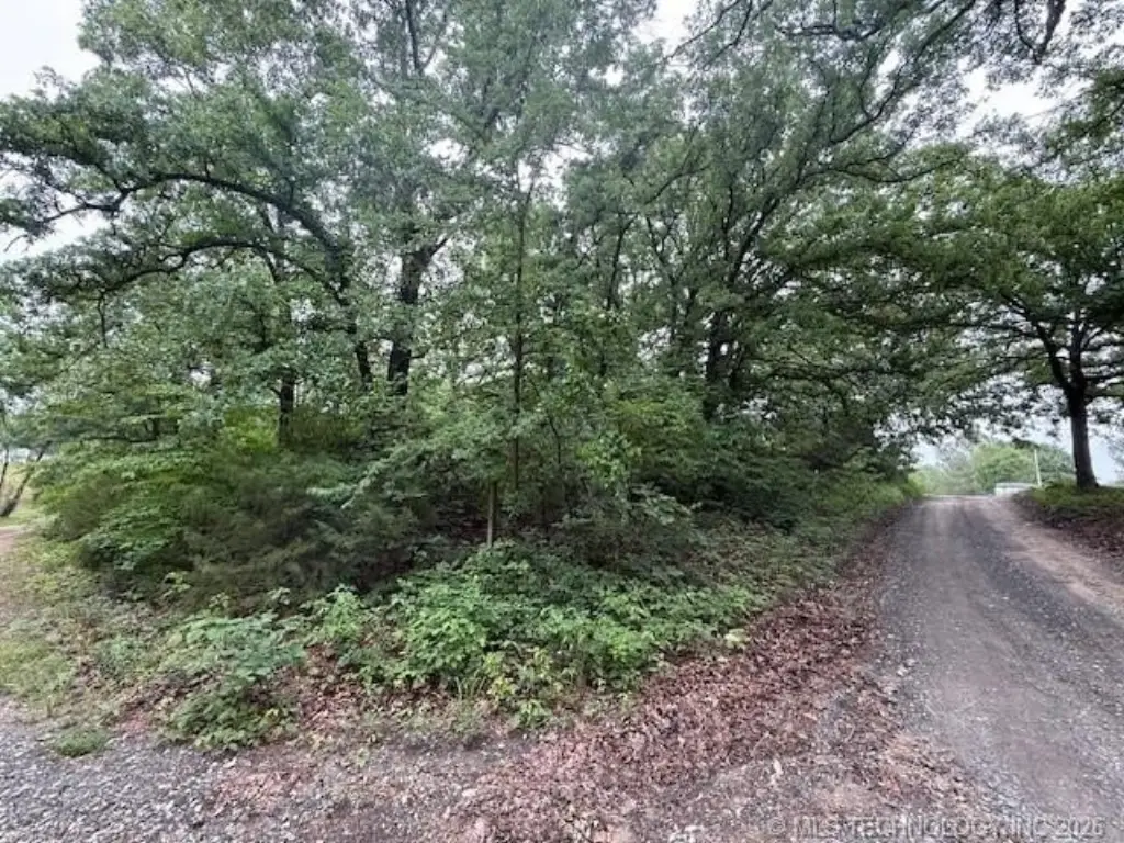 Picture 6