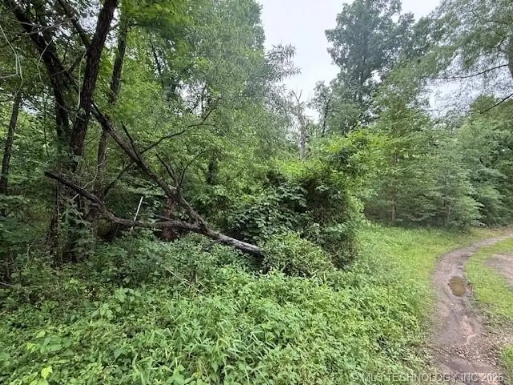 Picture 5