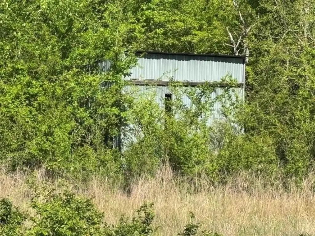 Picture 48
