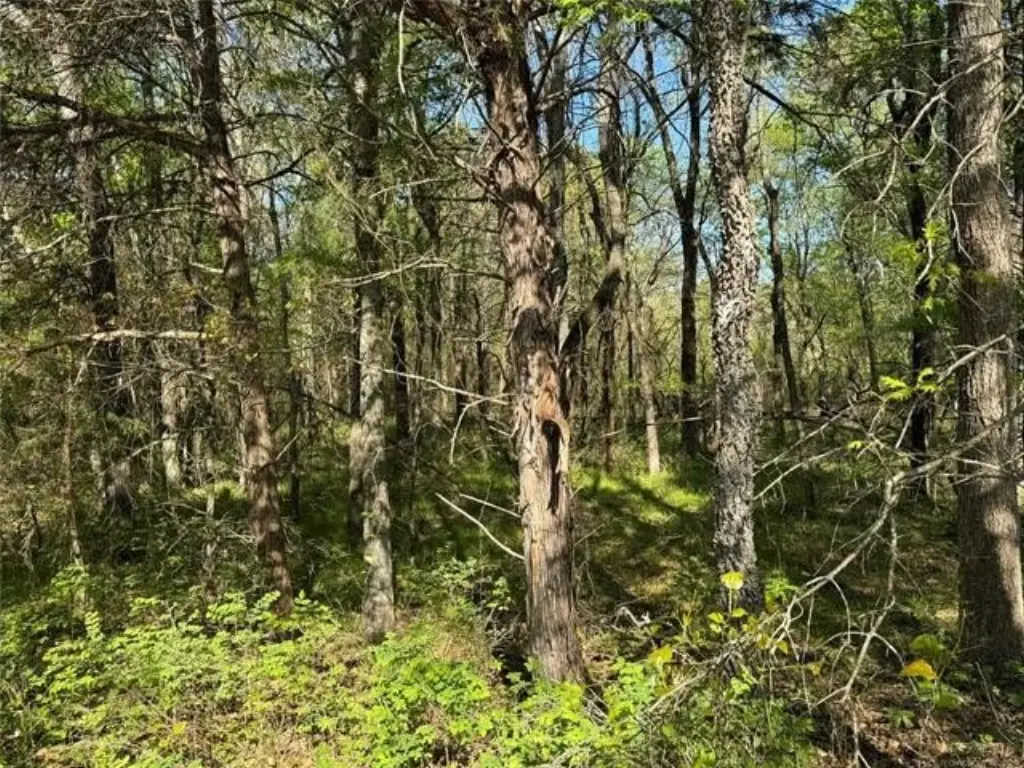 Picture 38