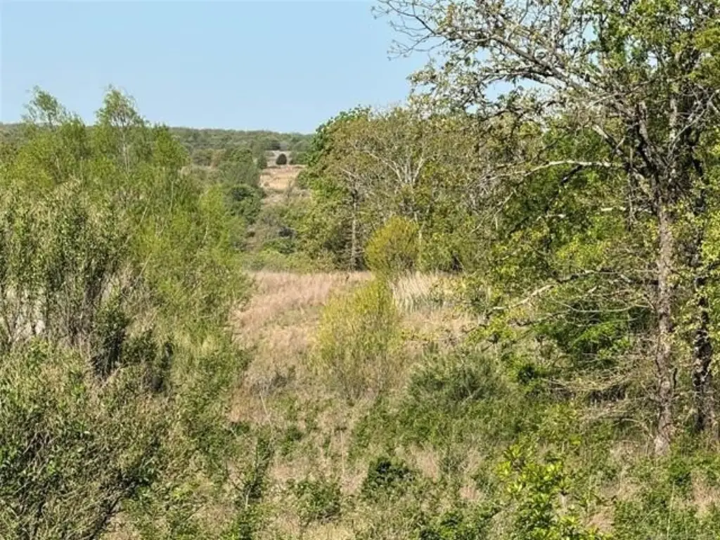 Picture 50