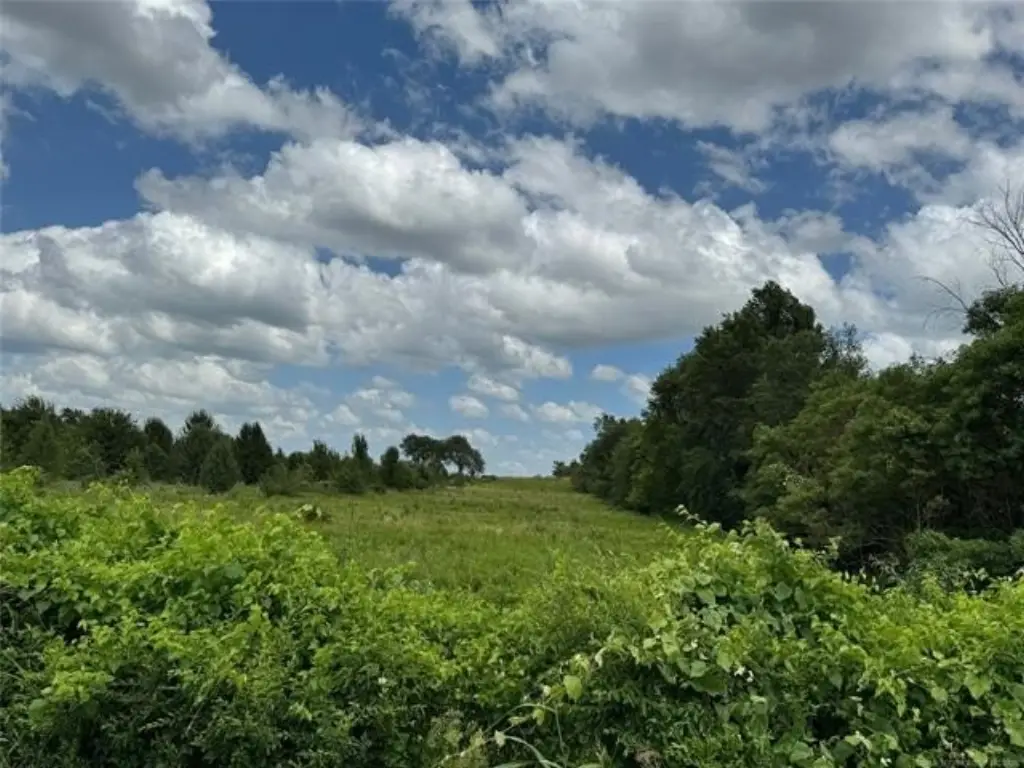 Picture 45