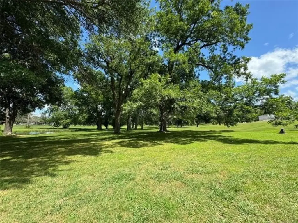 Picture 46