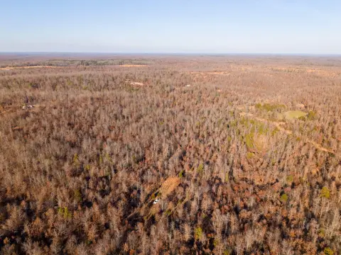 23 Acres Wooded Hunting Property