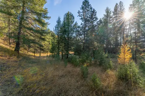 Hunting Land