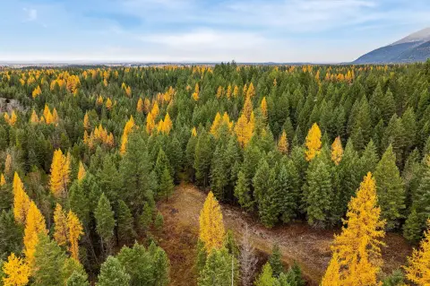 Kalispell Land with Many Lakes Privacy