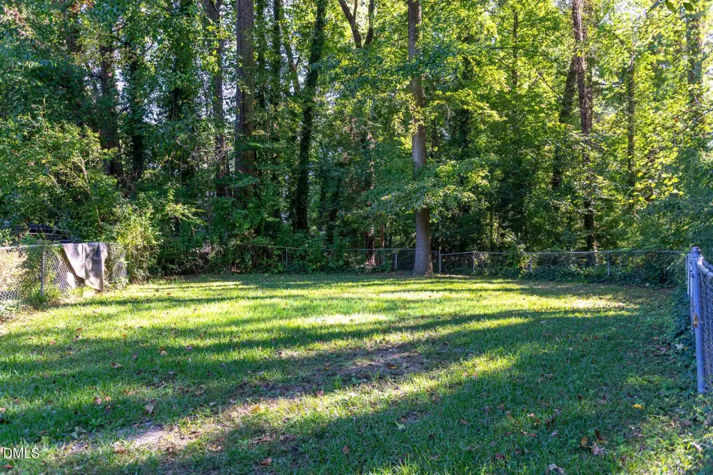 Picture 28