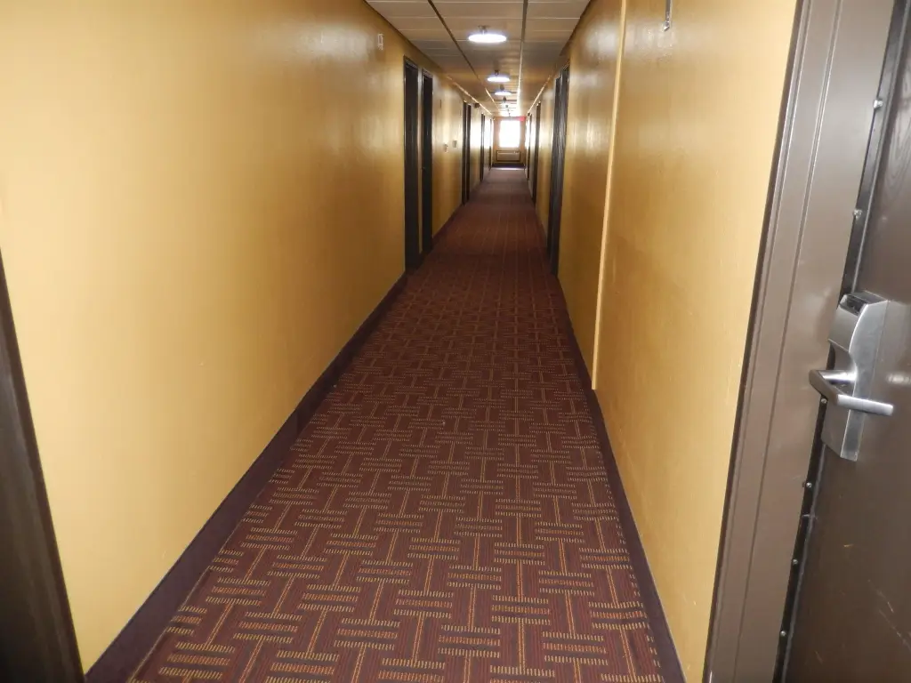 Picture 12