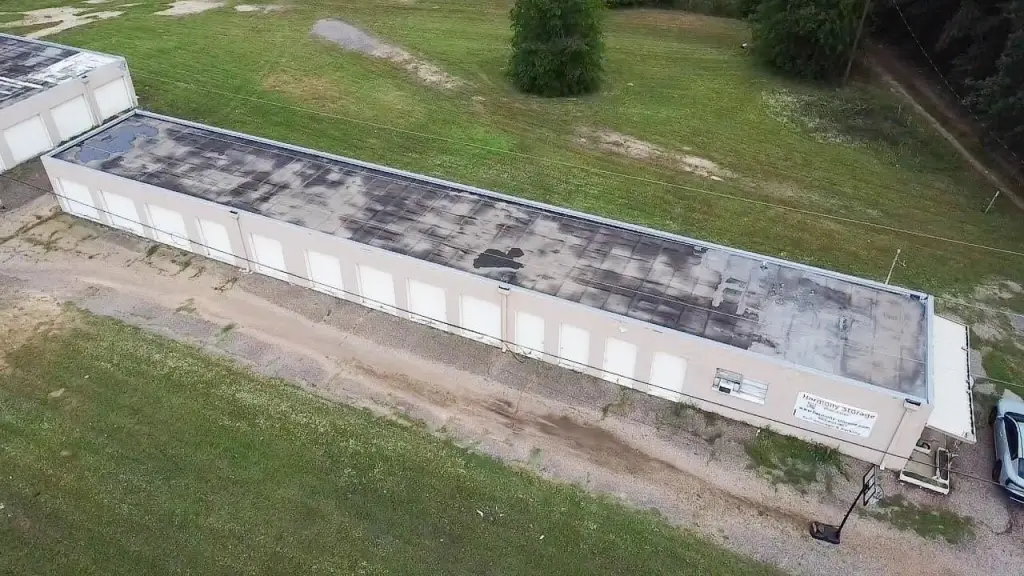 Picture 5