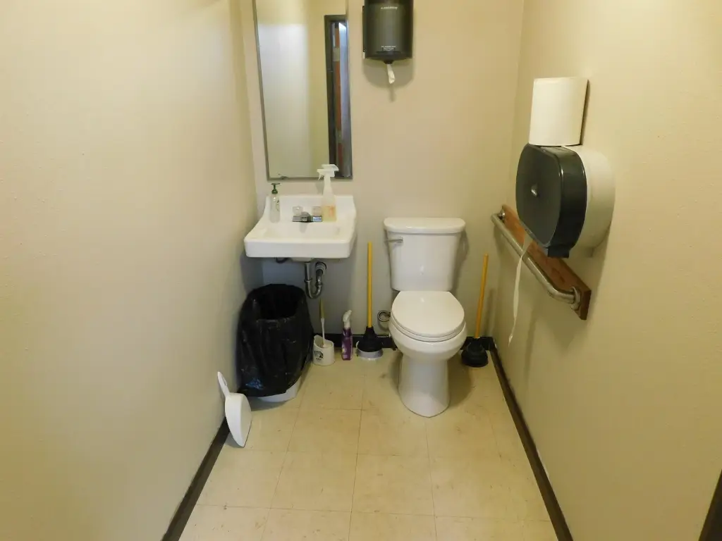 Picture 8