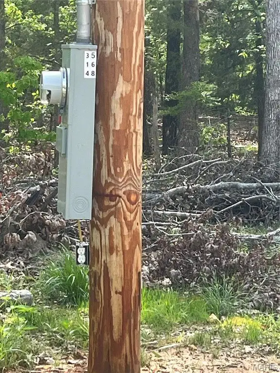Picture 3