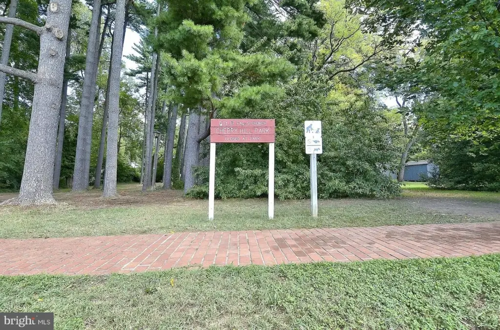 Picture 36